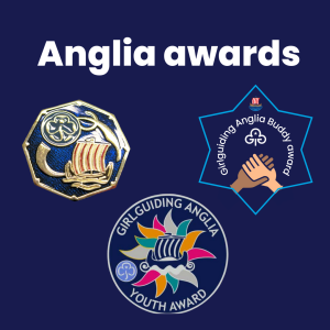 image relating to Anglia awards