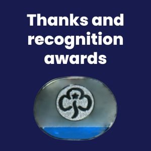 image relating to Thanks and recognition awards