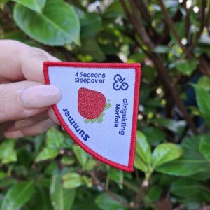4 Seasons Summer sleepover challenge badge