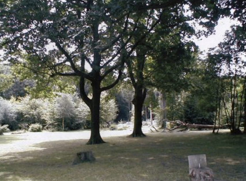 Perrett Campsite