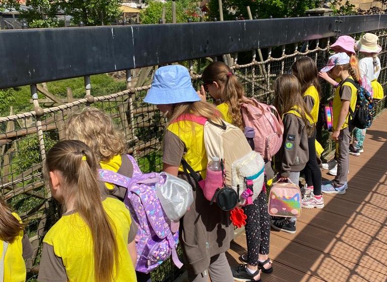 Girls looking through fence