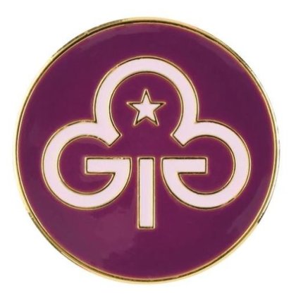 ranger promise badge 23