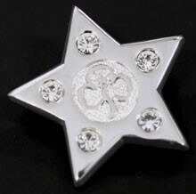 image relating to The Guiding Star